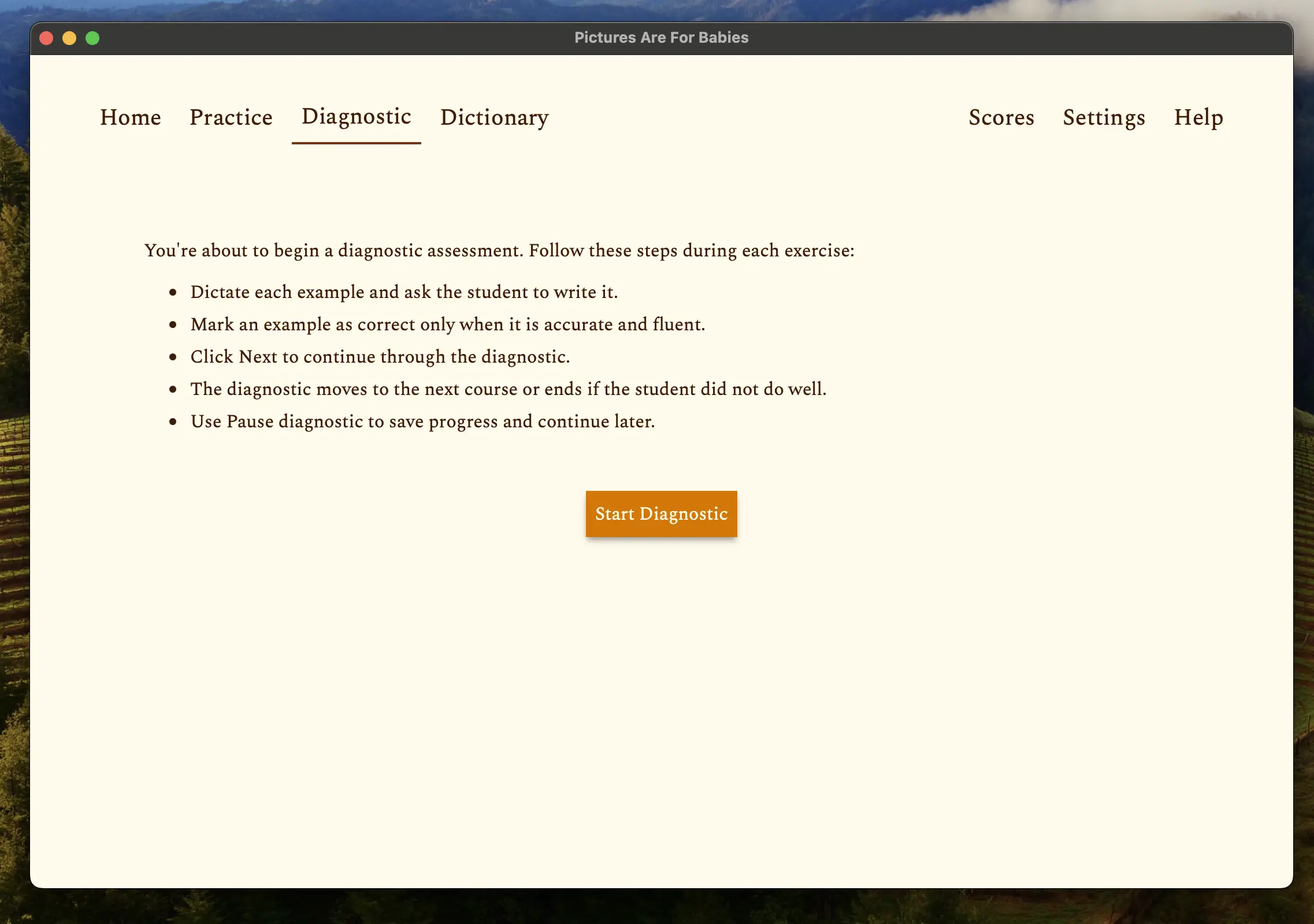 Screenshot of the diagnostic tab